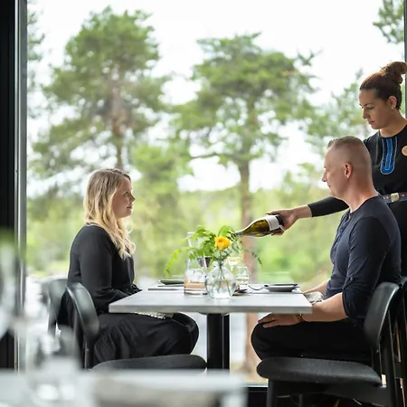Wilderness Juutua Hotel 4*