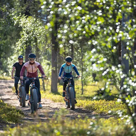 Hotel Wilderness Juutua 4*