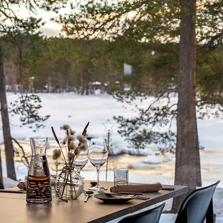 Hotel Wilderness Juutua 4*