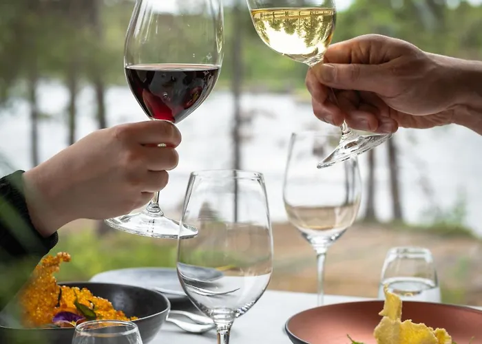 Hotel Wilderness Juutua