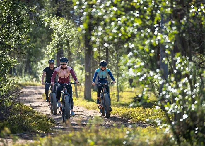 Hotel Wilderness Juutua 4*