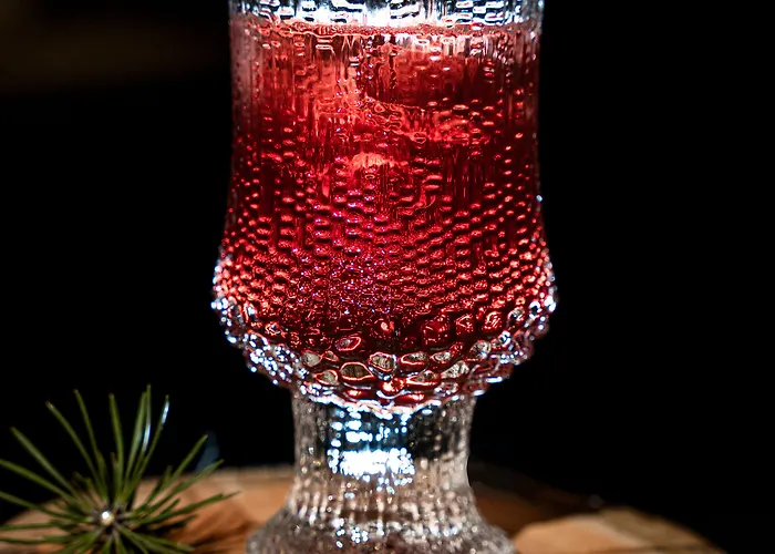 Wilderness Juutua Hotel Inari