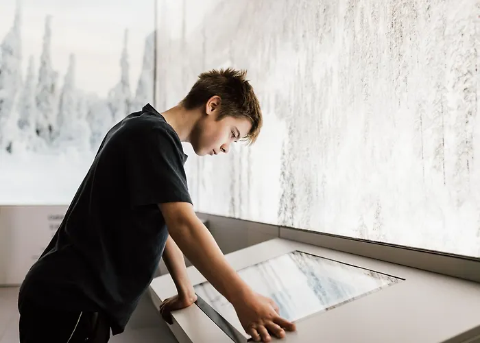 Wilderness Juutua Hotel Inari