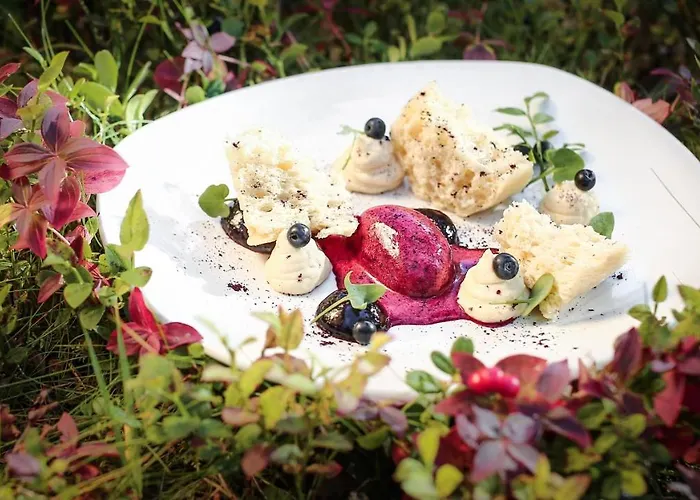 Wilderness Juutua 4* Inari